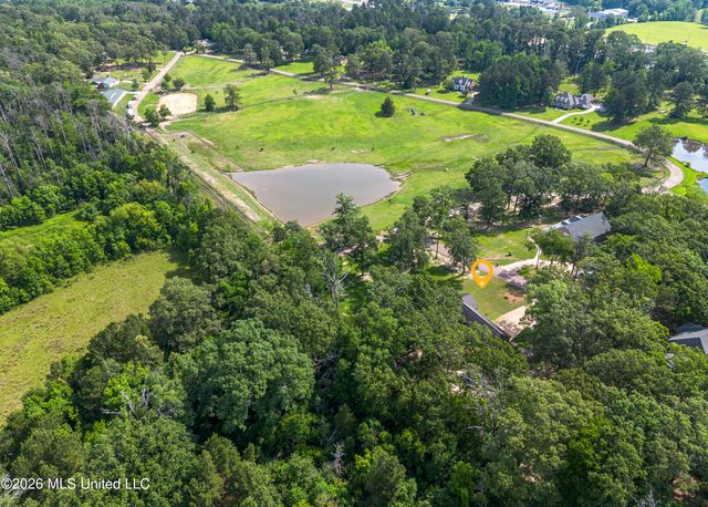 100 Chance Cove, Brandon, MS 39047