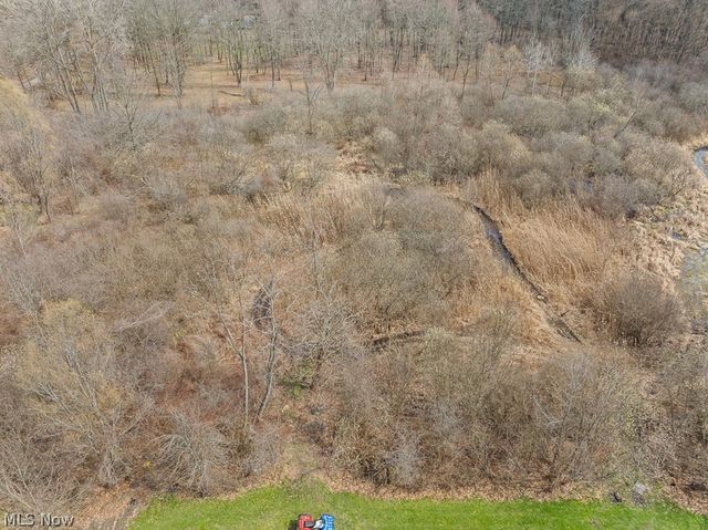 1719 Wilson Road, Akron, OH 44312