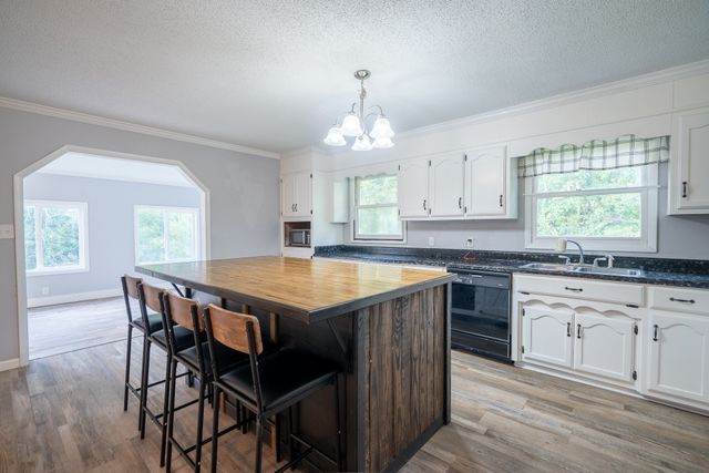 715 Springer Rd, Hohenwald, TN 38462