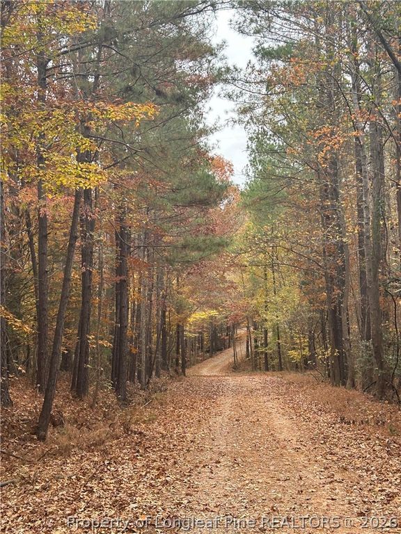 3110 Buckhorn Road, Sanford, NC 27330 — photo 2