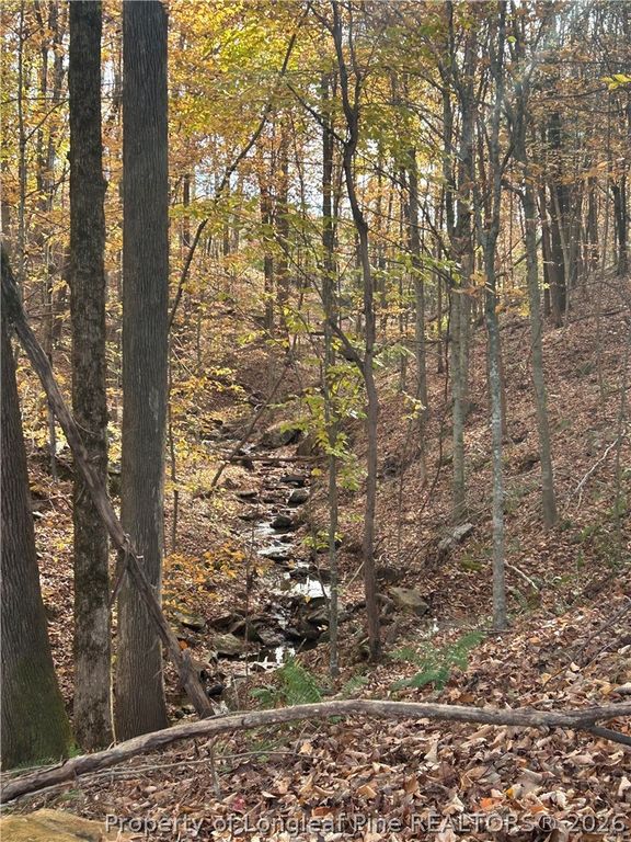 3110 Buckhorn Road, Sanford, NC 27330 — photo 3
