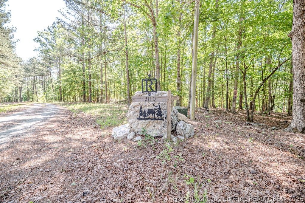 3110 Buckhorn Road, Sanford, NC 27330 — photo 4