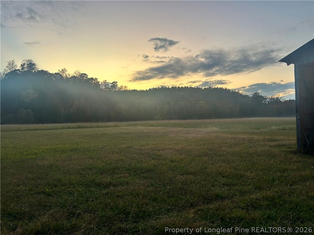 3110 Buckhorn Road, Sanford, NC 27330 — photo 45