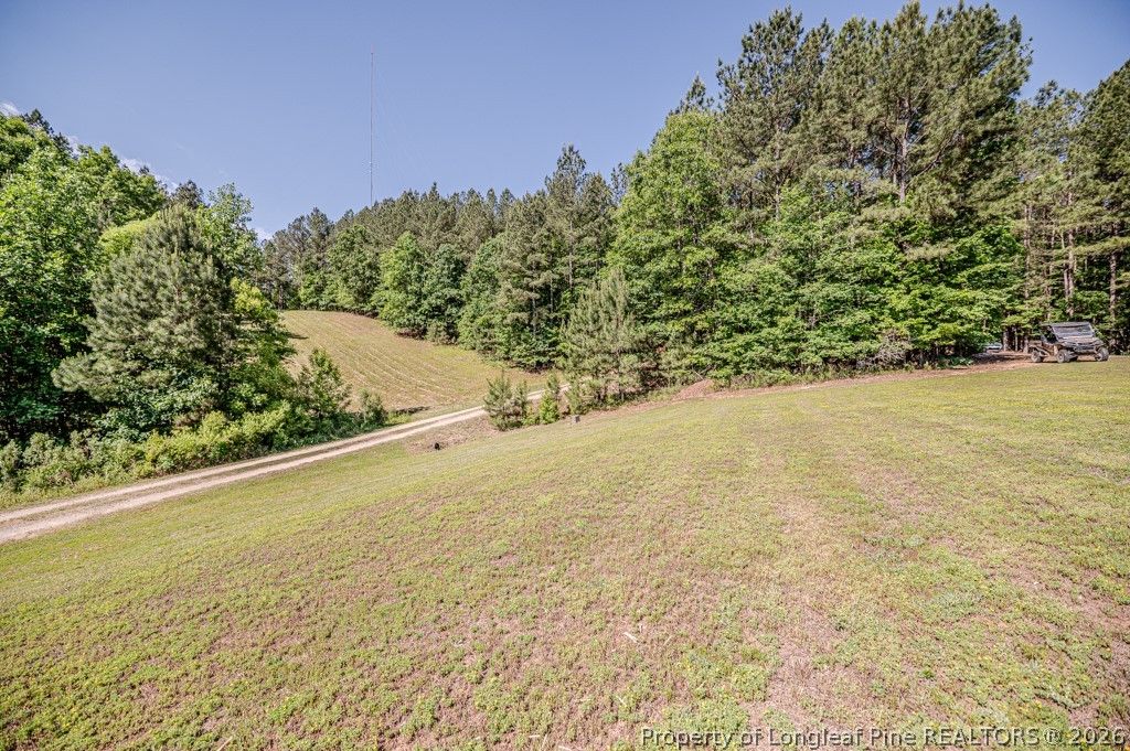 3110 Buckhorn Road, Sanford, NC 27330 — photo 9