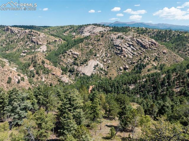 1151 Dandy Jim Drive, Cripple Creek, CO 80813