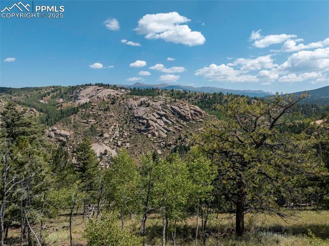 1151 Dandy Jim Drive, Cripple Creek, CO 80813