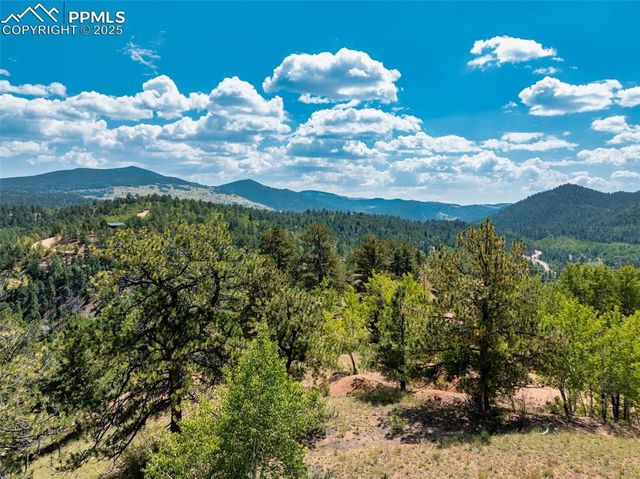 1151 Dandy Jim Drive, Cripple Creek, CO 80813