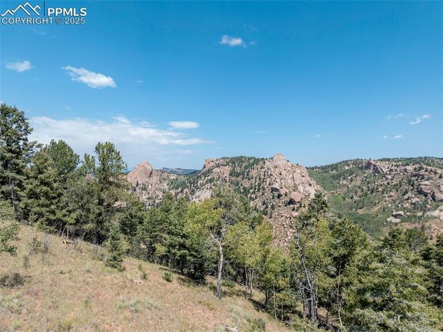 1151 Dandy Jim Drive, Cripple Creek, CO 80813