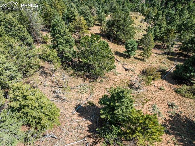 1151 Dandy Jim Drive, Cripple Creek, CO 80813