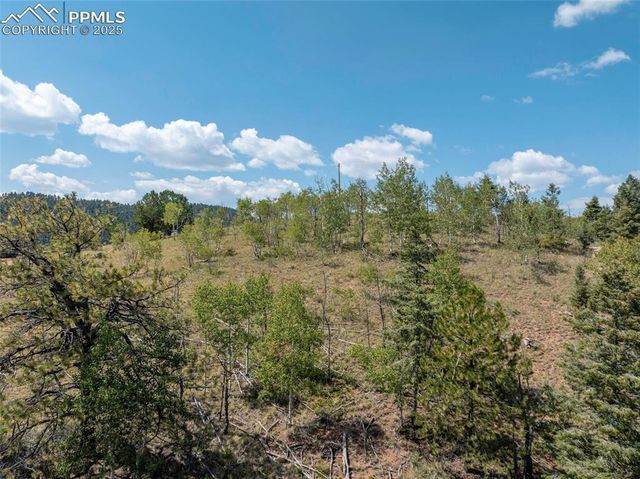 1151 Dandy Jim Drive, Cripple Creek, CO 80813