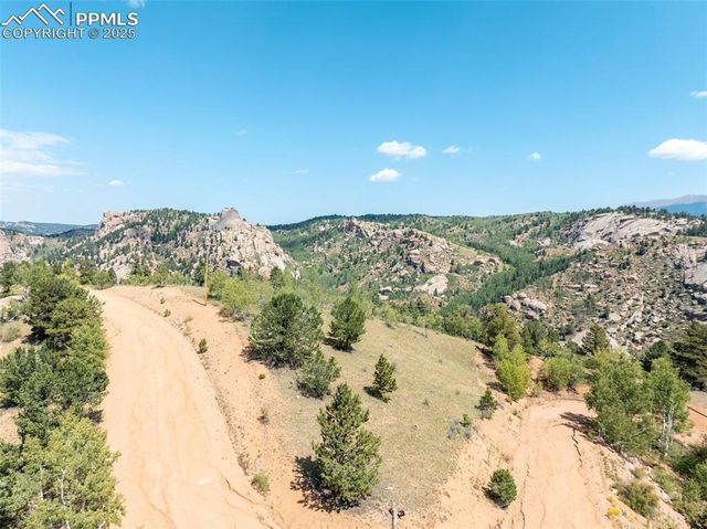 1151 Dandy Jim Drive, Cripple Creek, CO 80813