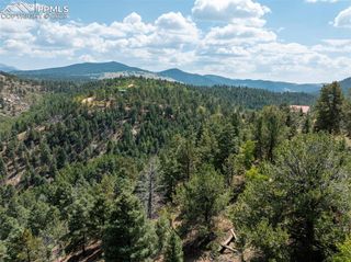 1151 Dandy Jim Drive, Cripple Creek, CO 80813
