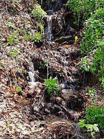 601 Tater Patch Road, Maggie Valley, NC 28751