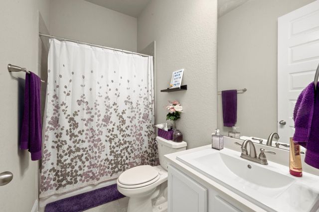 10054 Black Maple Drive, Conroe, TX 77385