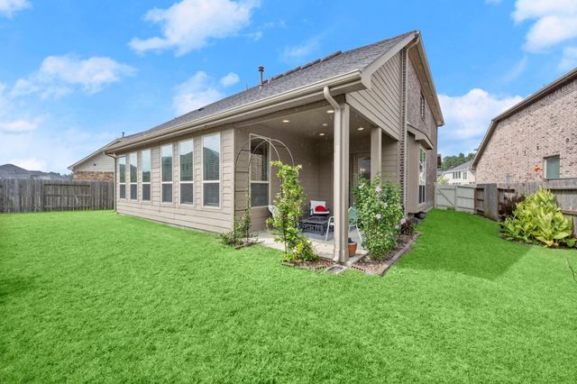 10054 Black Maple Drive, Conroe, TX 77385