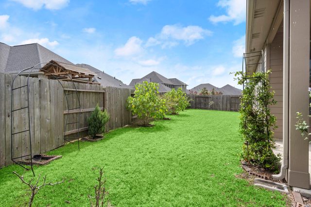 10054 Black Maple Drive, Conroe, TX 77385