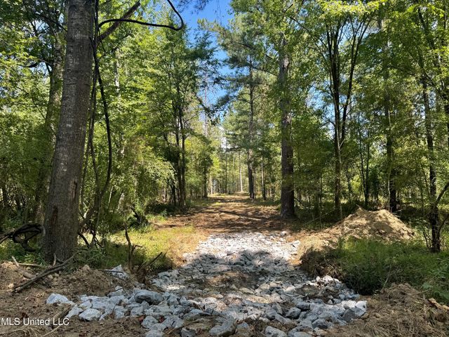 00001 Williamson Road, Clinton, MS 39056