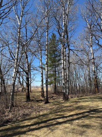 1784 County Road 1 SW, Baudette, MN 56623