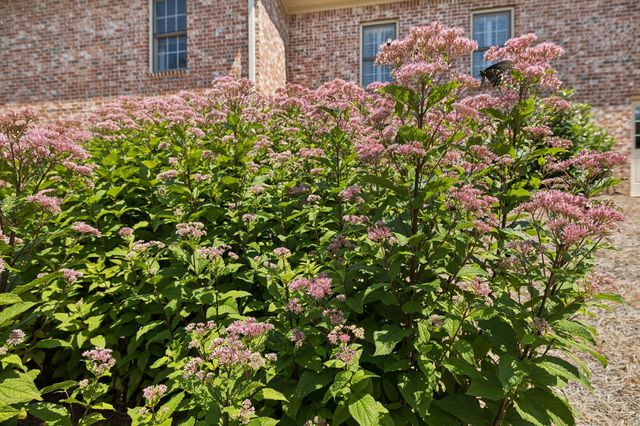 829 Highgrove Cir, Franklin, TN 37069