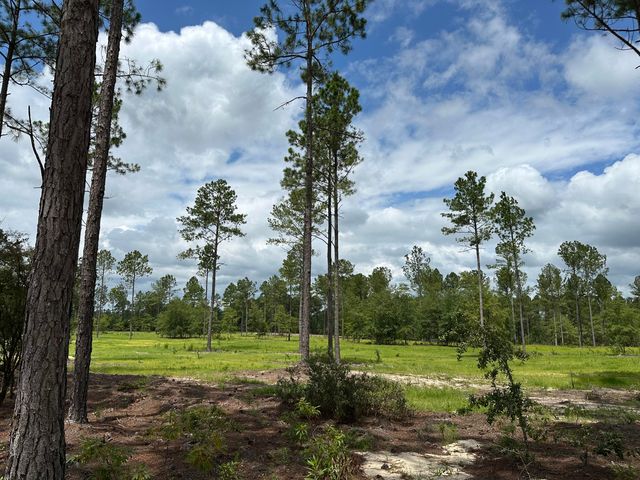 00 Laughlin Loop, Aiken, SC 29805