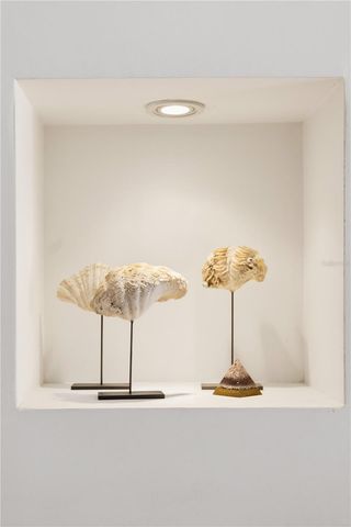 6108 S ELKINS AVENUE, Tampa, FL 33611