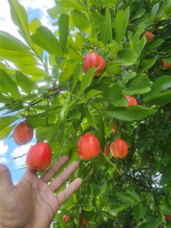 0 E 52, Hialeah, FL 33013