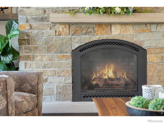 4252 Mountain Shadow Way, Timnath, CO 80547