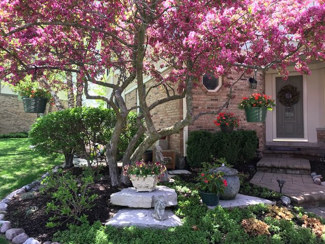 10661 Hollow Tree Road, Orland Park, IL 60462