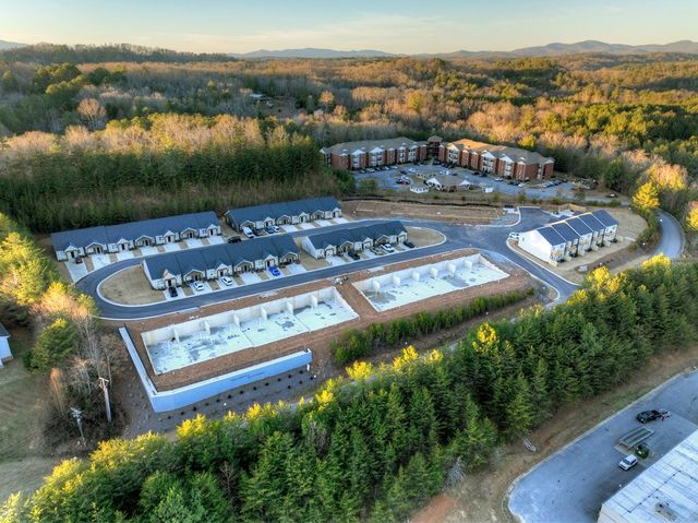 Unit 1 Grove Loop, Blue Ridge, GA 30513