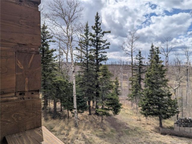 1670 Cary Lane, Fort Garland, CO 81133