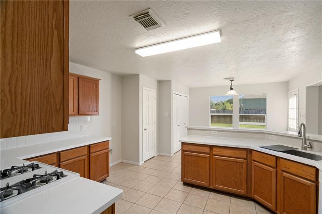 21734 Texian Court, Spring, TX 77388