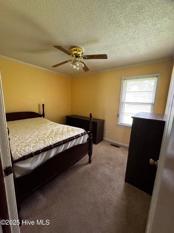 403 Clemmons Street, Roper, NC 27970