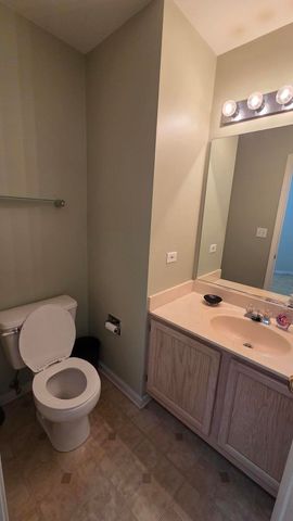 237 Camel Bend Court 2, Schaumburg, IL 60194