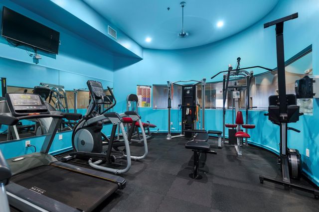 3311 Yupon Street 317, Houston, TX 77006