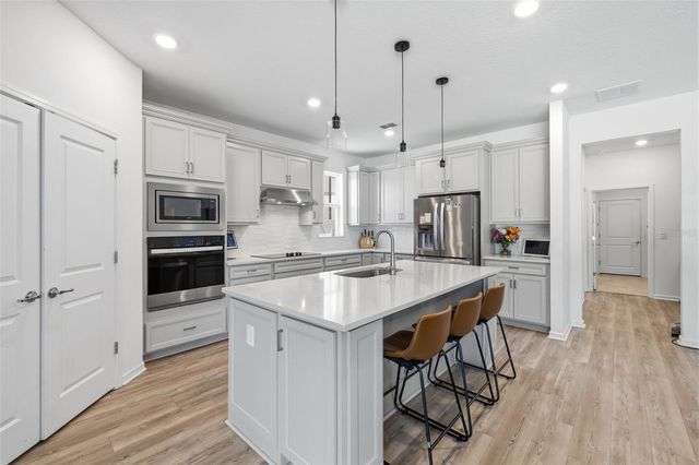 12071 ORCHID ASH STREET, Riverview, FL 33579