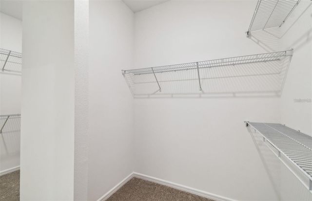 12071 ORCHID ASH STREET, Riverview, FL 33579