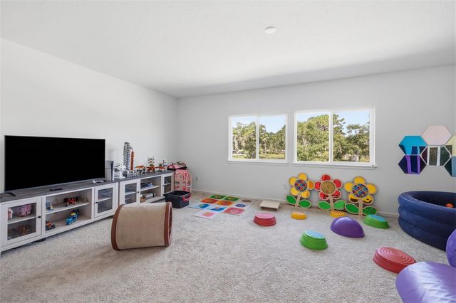 12071 ORCHID ASH STREET, Riverview, FL 33579