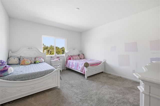 12071 ORCHID ASH STREET, Riverview, FL 33579