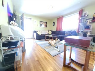 7 Westglow 7, Boston, MA 02122