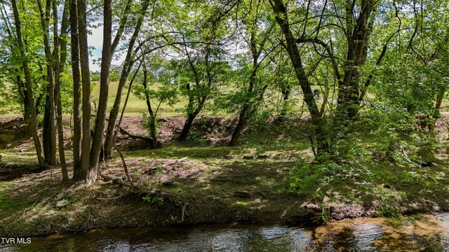 3725 Lunsford Mill Road, Hiltons, VA 24258