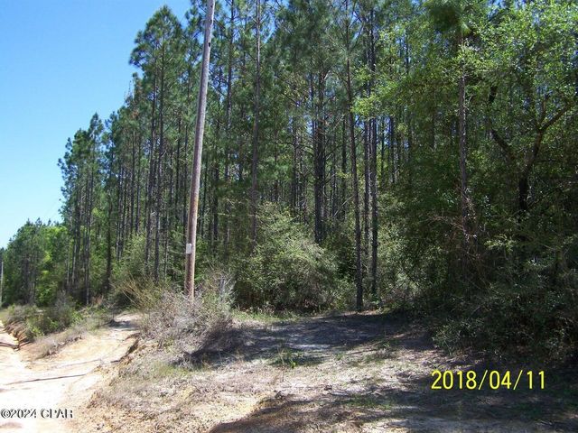 00 Noland Pond Road, Alford, FL 32420