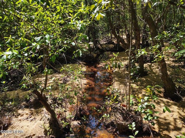 00 Noland Pond Road, Alford, FL 32420