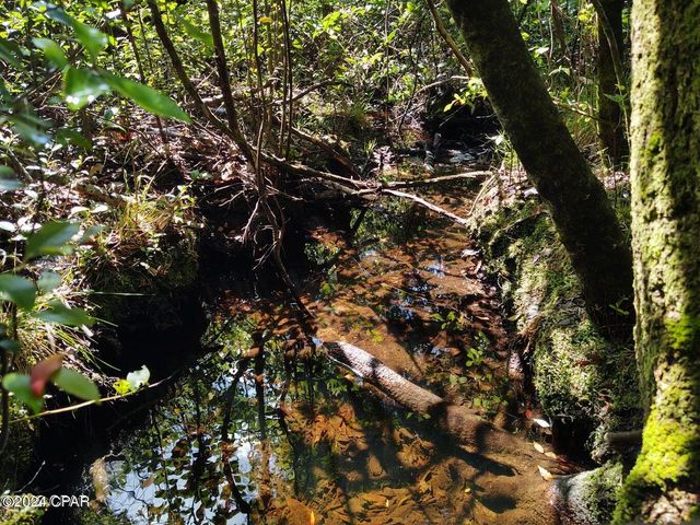 00 Noland Pond Road, Alford, FL 32420