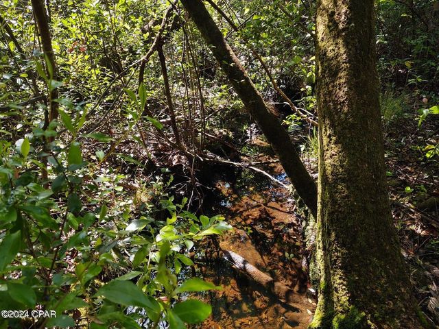 00 Noland Pond Road, Alford, FL 32420