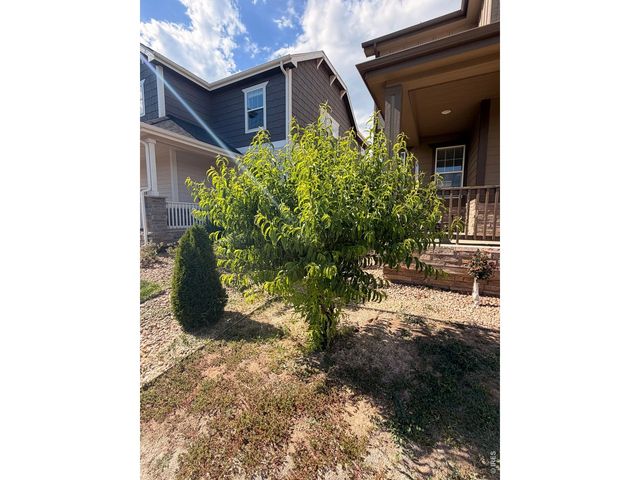 2326 Adobe Dr, Fort Collins, CO 80525