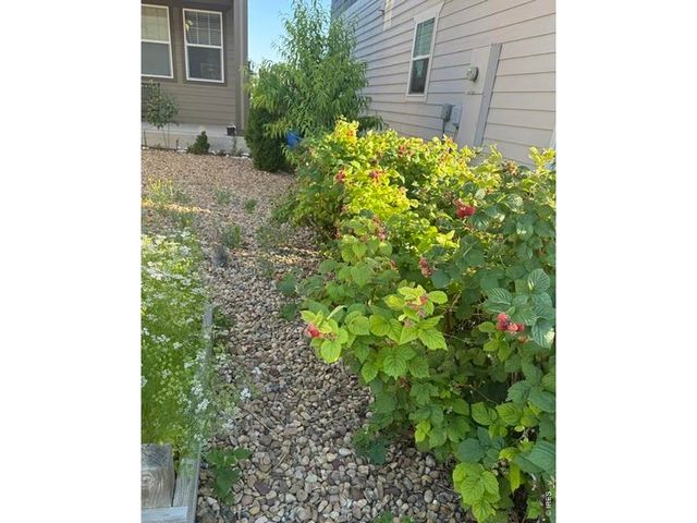 2326 Adobe Dr, Fort Collins, CO 80525