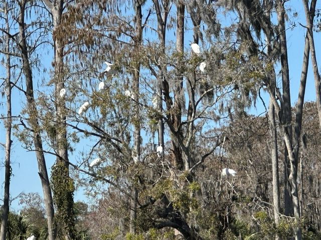 3415 LORI LANE, New Port Richey, FL 34655