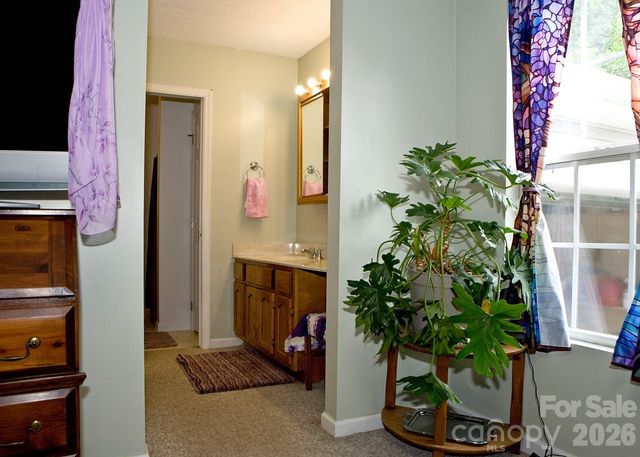165 Peepeye Cove Road, Leicester, NC 28748