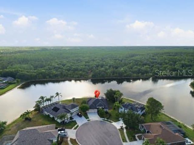 6113 COGNAC CIRCLE, Lutz, FL 33558