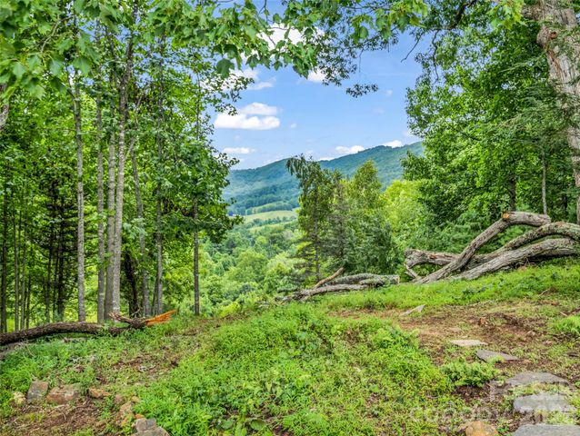 450 Windom Cove, Burnsville, NC 28714